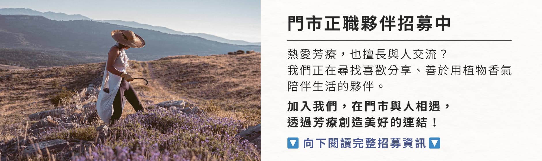 Florihana芳療家 徵人啟事 一個人在山頂被紫色薰衣草包圍