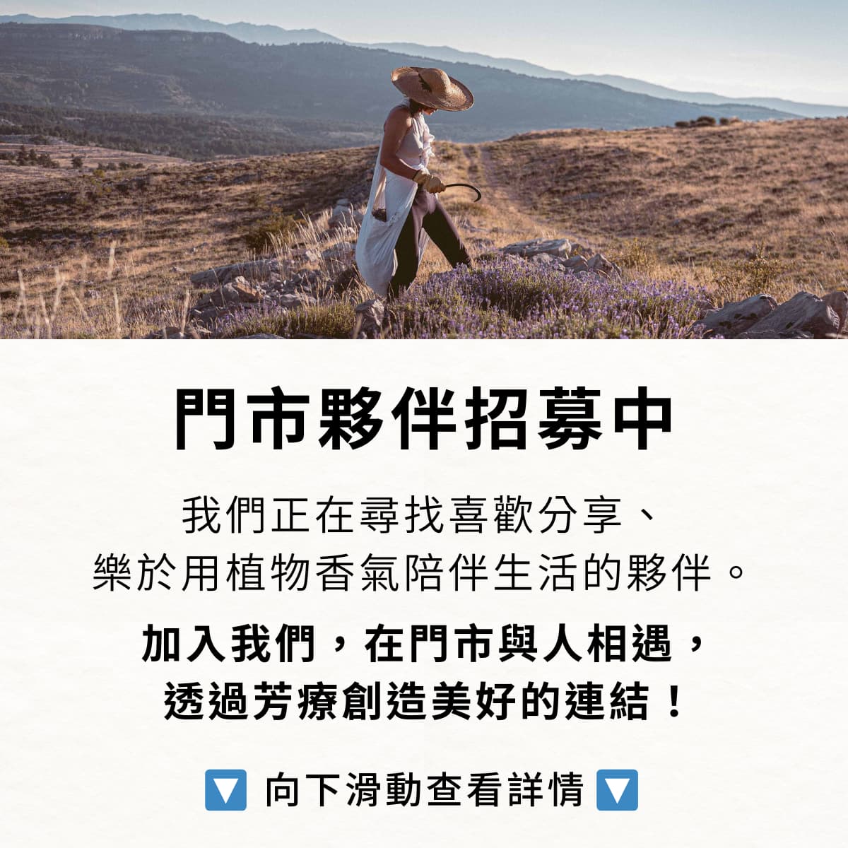 Florihana芳療家 徵人啟事 一個人在山頂被紫色薰衣草包圍