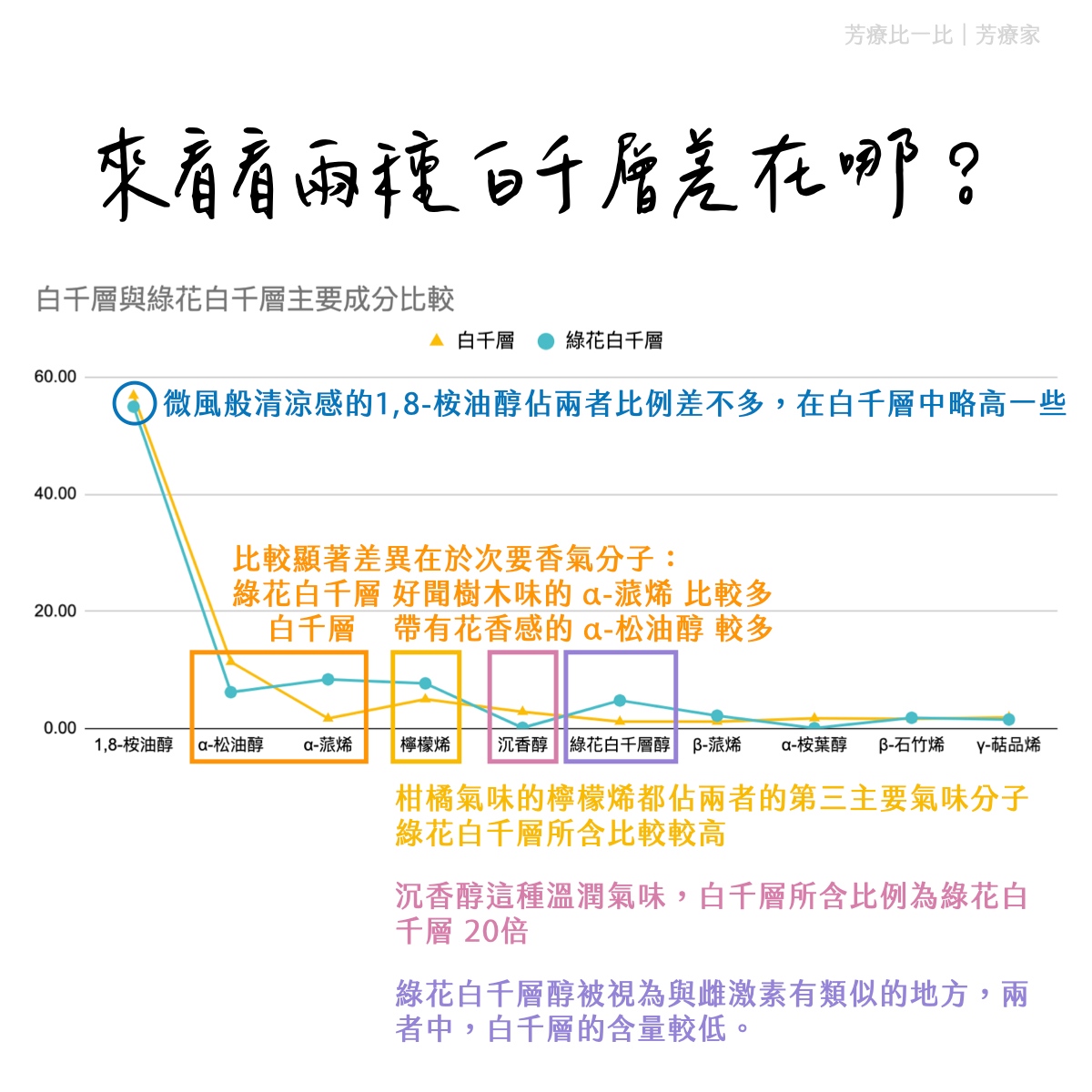 Florihana芳療家 白千層 綠花白千層 差異
