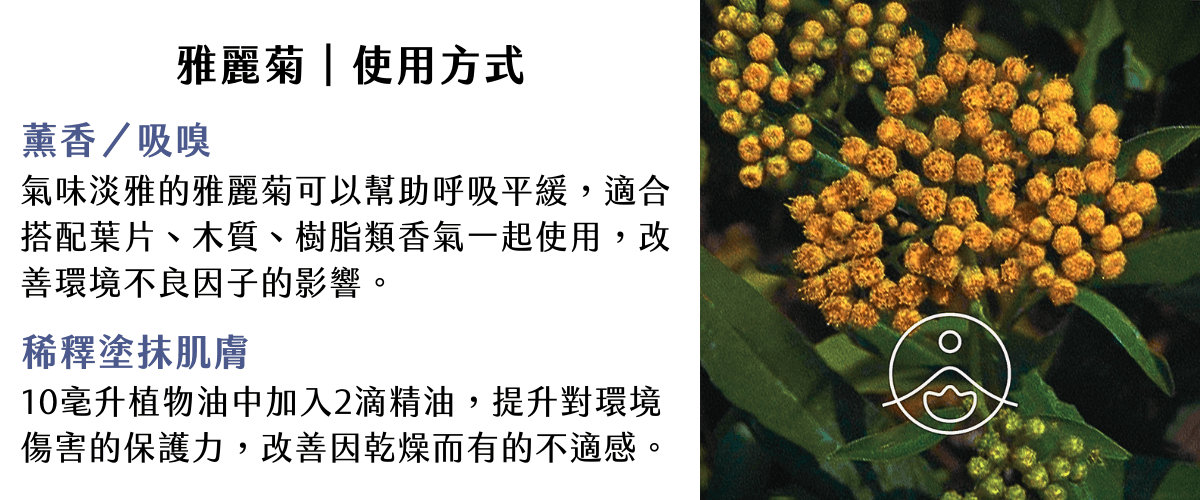 Florihana芳療家 雅麗菊 Iary 花朵 薰香 吸嗅 塗抹肌膚 芳療應用介紹