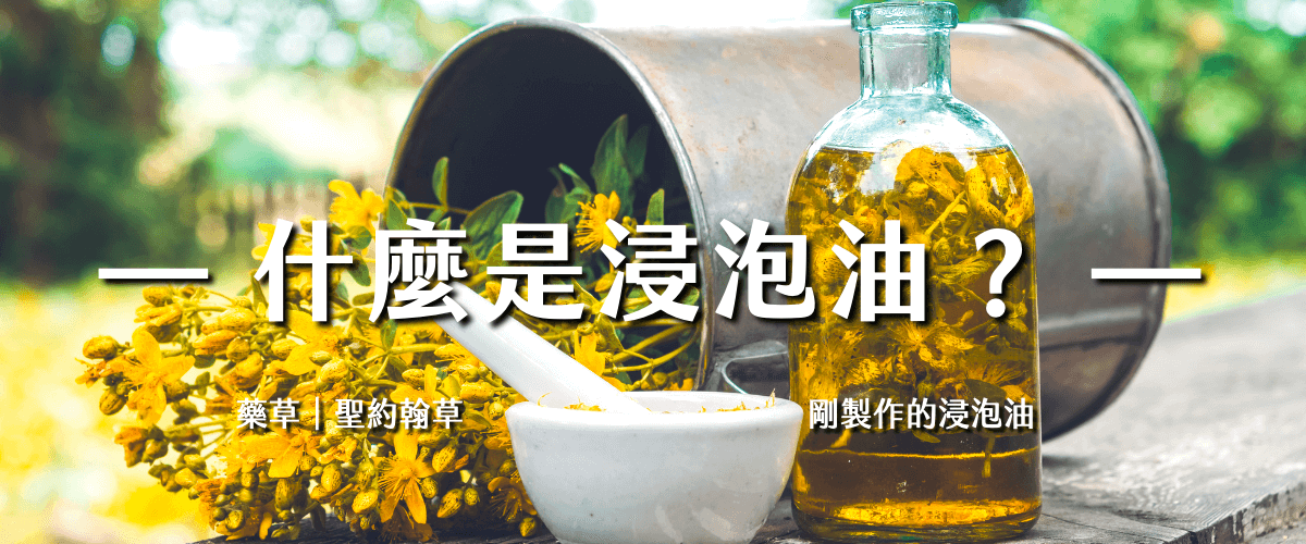 Florihana芳療家 浸泡油 藥草浸泡油 基底油 聖約翰草浸泡在油裡面 摘採後的聖約翰草