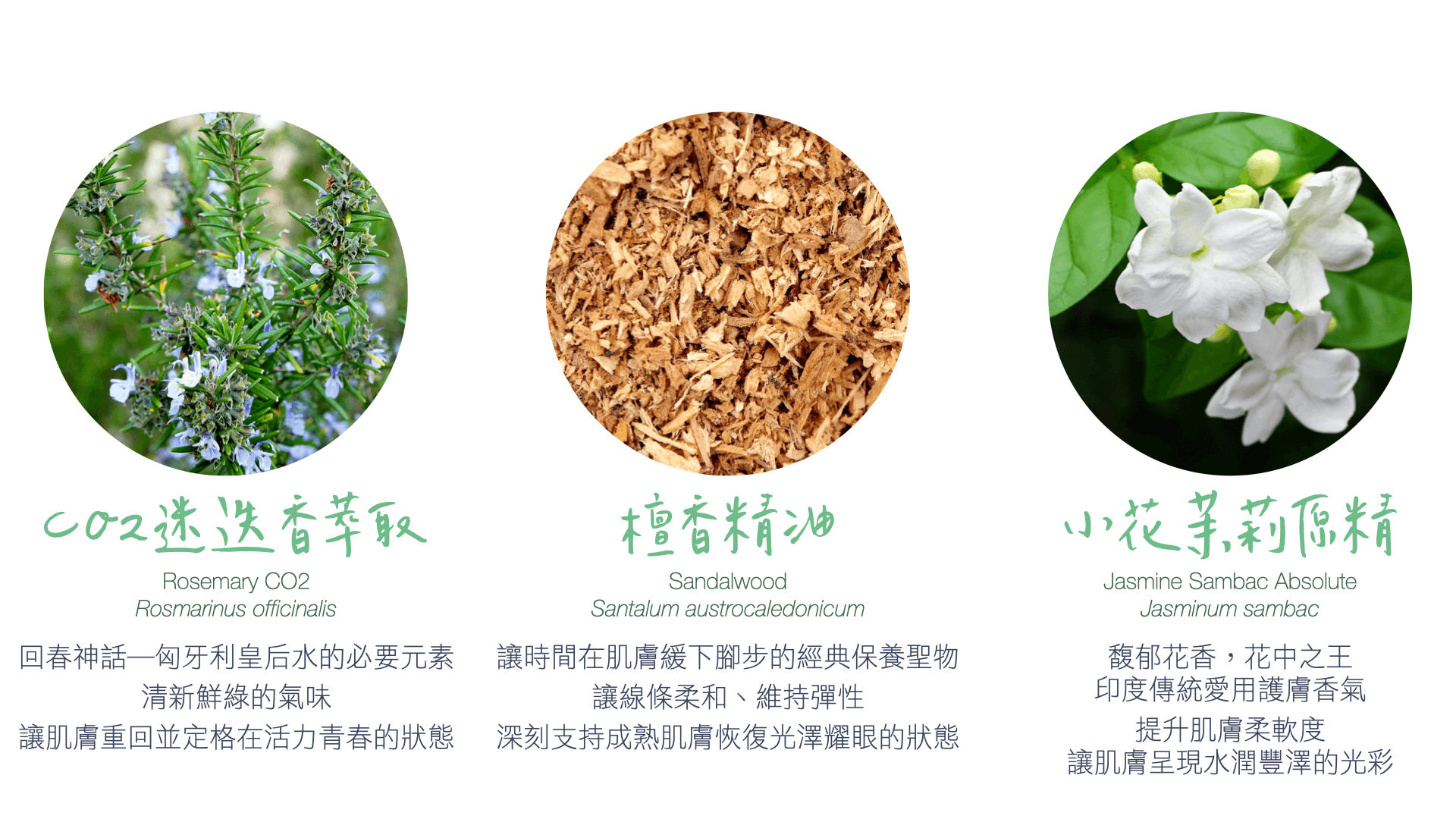 Florihana芳療家 天然保養品 精油介紹 迷迭香 檀香 小花茉莉 植物圖片