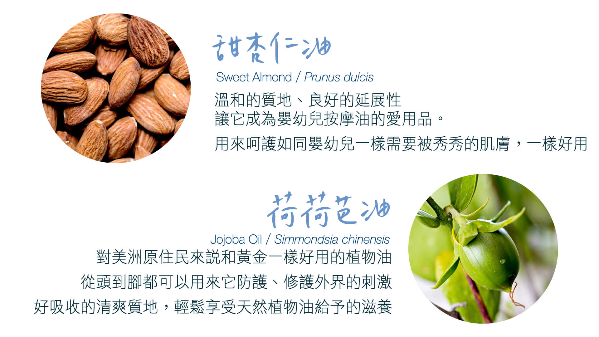 Florihana芳療家 健康舒緩小藍瓶 植物油介紹 甜杏仁油 荷荷芭油