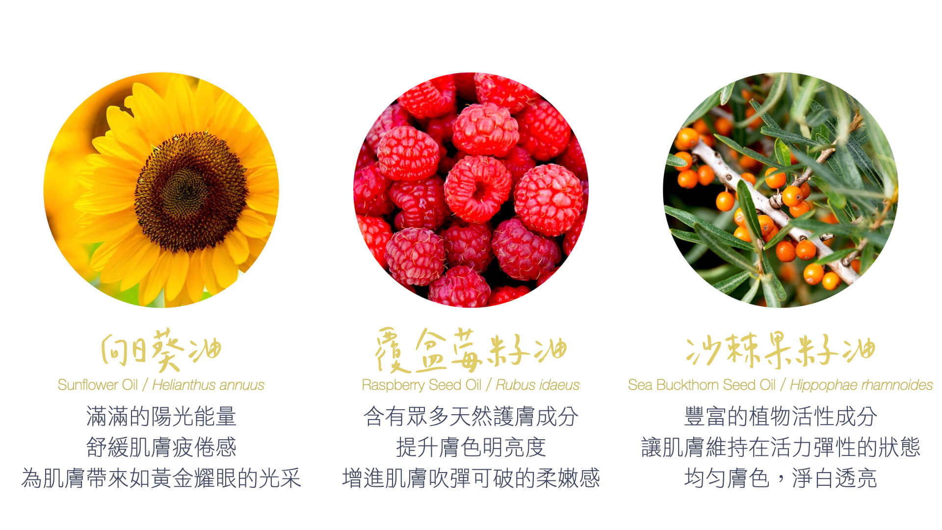 Florihana芳療家 璀璨光亮小金瓶 植物油特色介紹 向日葵 覆盆莓籽 沙棘果籽
