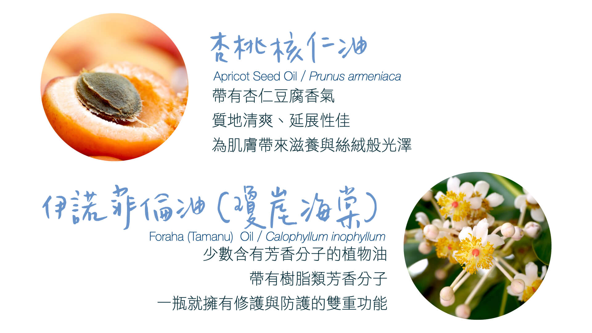 Florihana芳療家 健康舒緩小藍瓶 杏桃核油 伊諾菲倫油 瓊涯海棠油