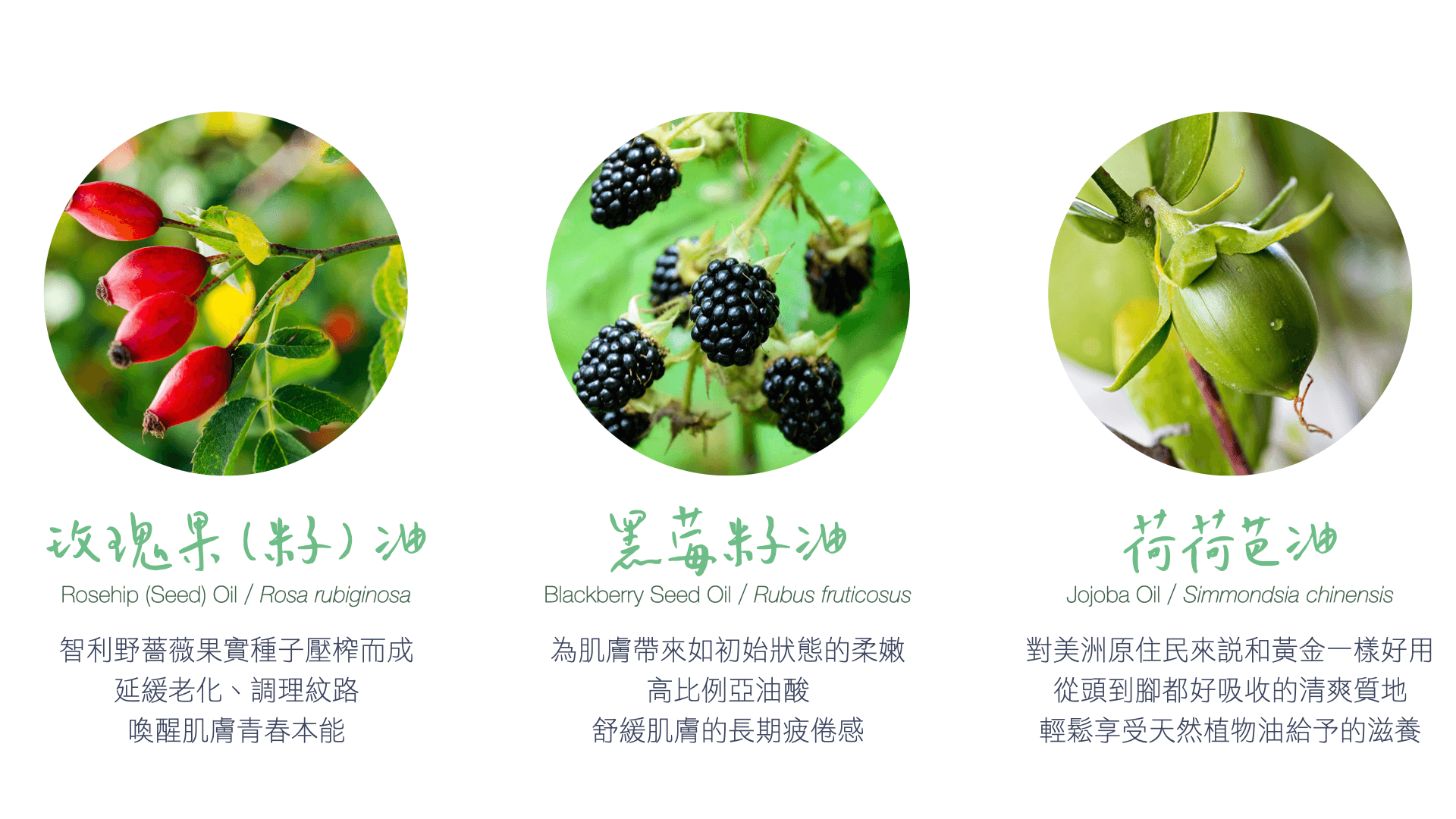 Florihana芳療家 天然保養品 植物油 玫瑰果籽油 黑莓籽油 荷荷芭油 植物圖片