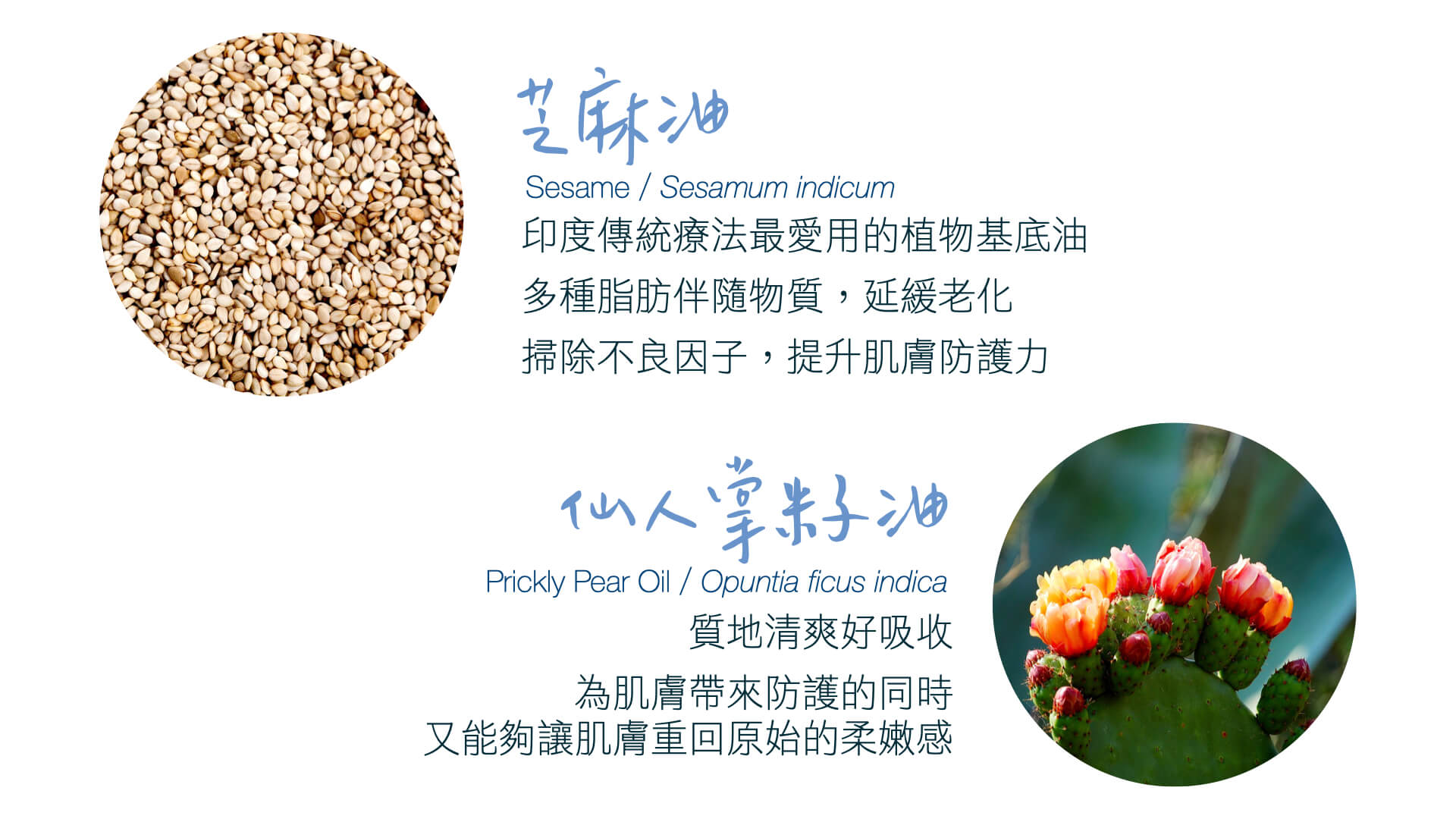 Florihana芳療家 健康舒緩小藍瓶 芝麻油 仙人掌籽油