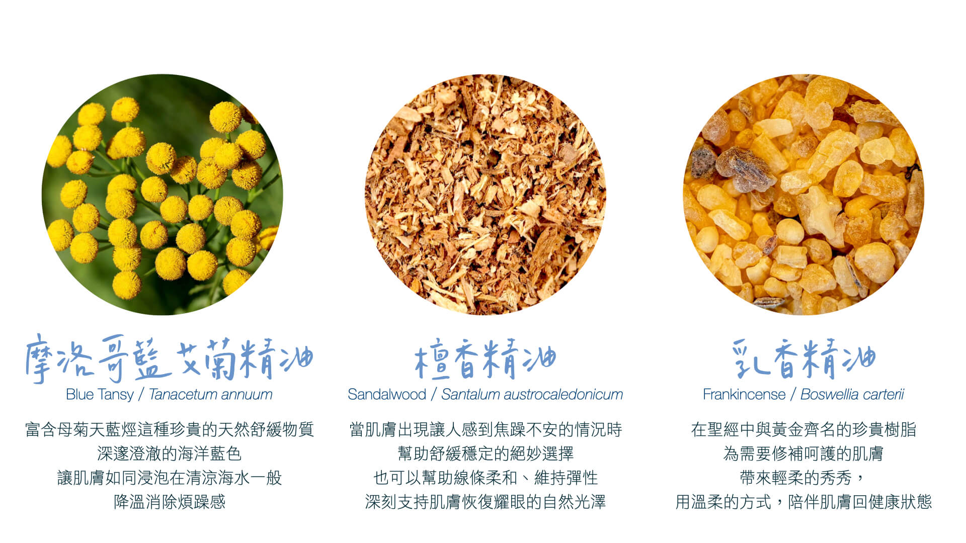 Florihana芳療家 健康舒緩小藍瓶 精油介紹 摩洛哥藍艾菊 檀香 乳香