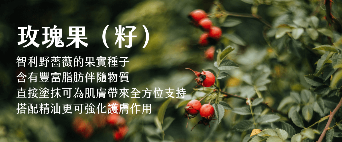 Florihana芳療家 玫瑰果 玫瑰果籽 玫瑰果籽油護膚特色介紹