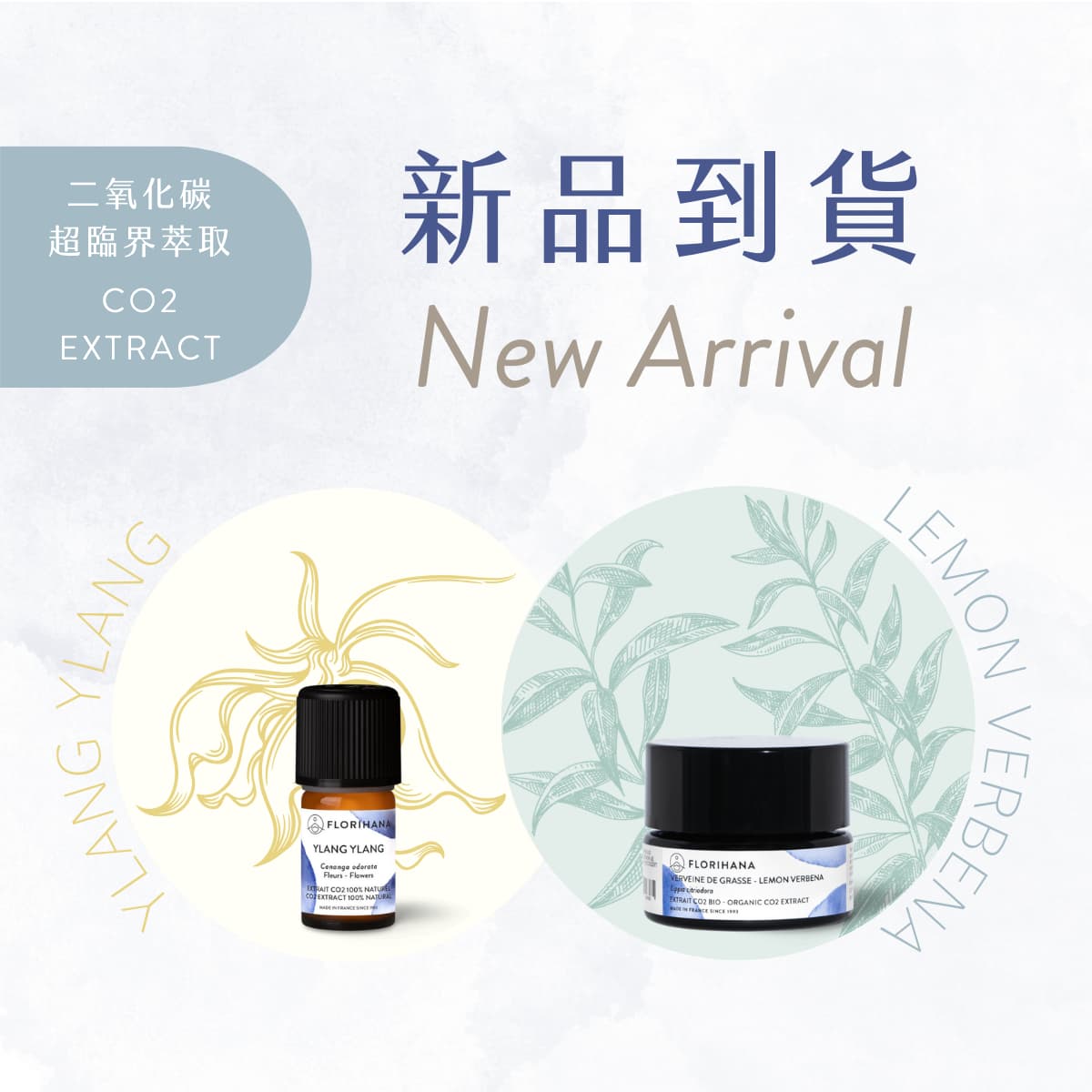 Florihana芳療家 新品上市 CO2萃取 依蘭 檸檬馬鞭草