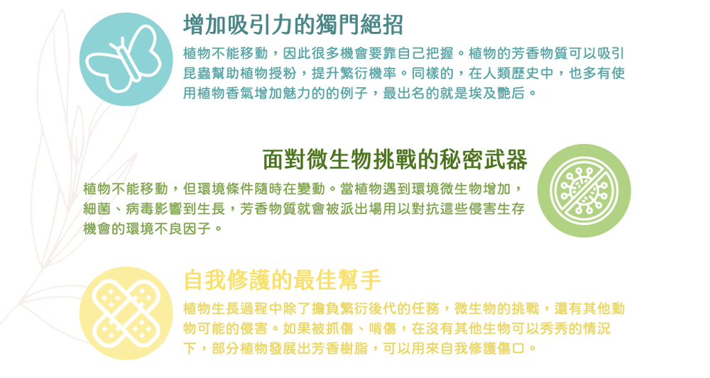 Florihana芳療家 精油特性 安全使用精油