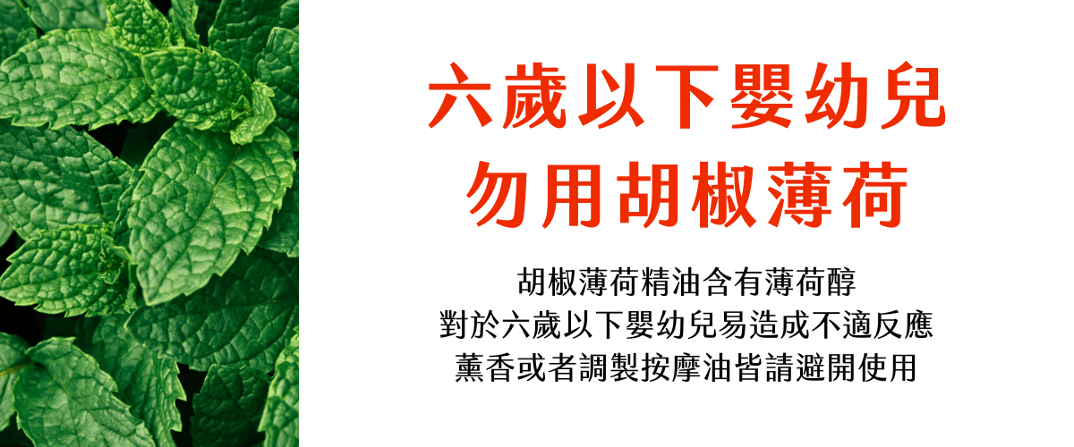 Florihana芳療家 嬰幼兒芳療 六歲以下避開使用胡椒薄荷 胡椒薄荷葉片圖片