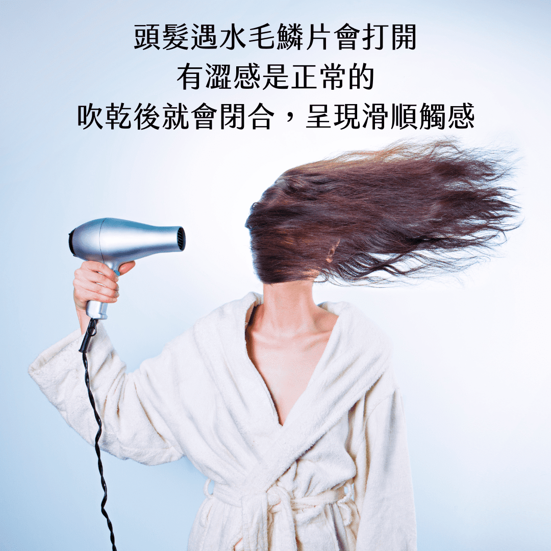 Florihana芳療家 植物油護髮 吹風機吹髮飄揚 洗頭髮吹乾說明 毛鱗片潮濕會打開 吹開就閉合