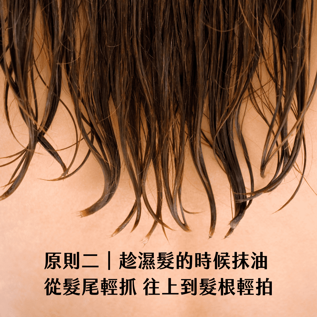 Florihana芳療家 植物油護髮 滴水的濕頭髮 趁濕髮塗抹植物油護髮