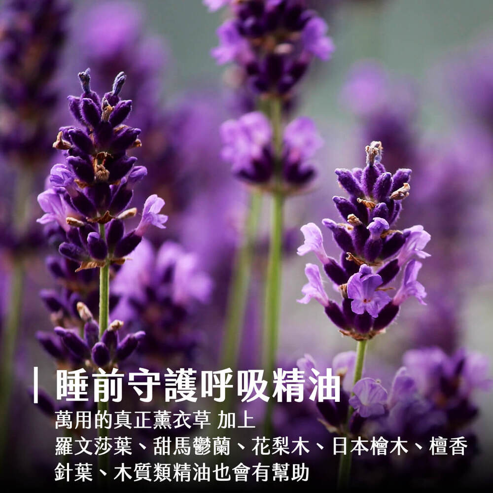 Florihana芳療家 呼吸舒暢精油 感冒精油 流感 鼻塞 喉嚨痛 新冠 長新冠 睡前使用 薰衣草