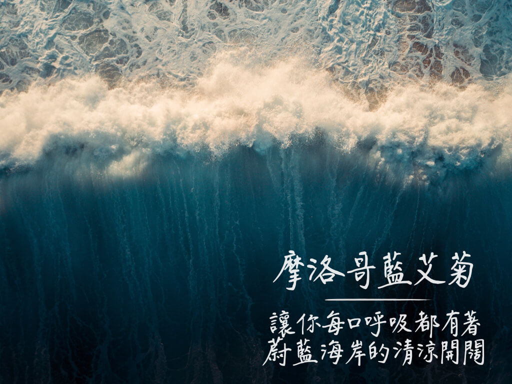 Florihana芳療家 深藍色海洋 手寫字 摩洛哥藍艾菊 呼吸有海洋清涼開闊