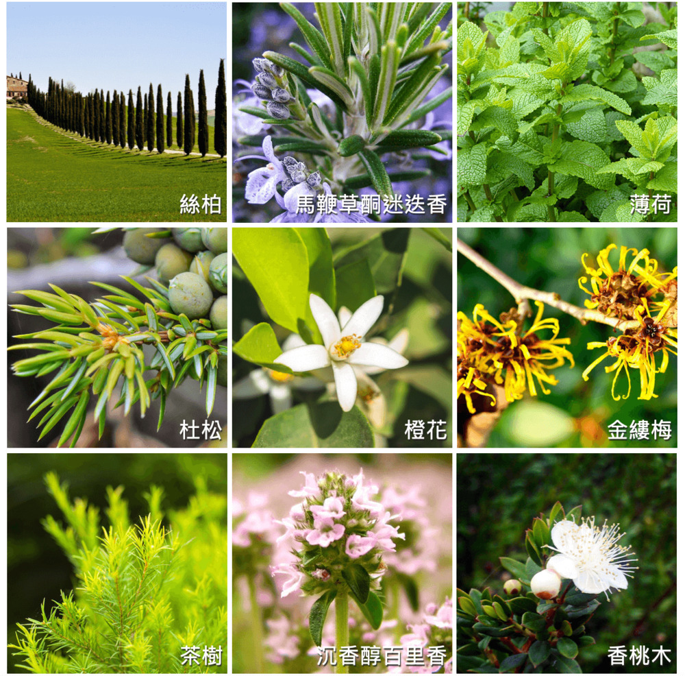 Florihana芳療家 控油純露 橙花純露 痘痘純露 茶樹純露 金縷梅純露