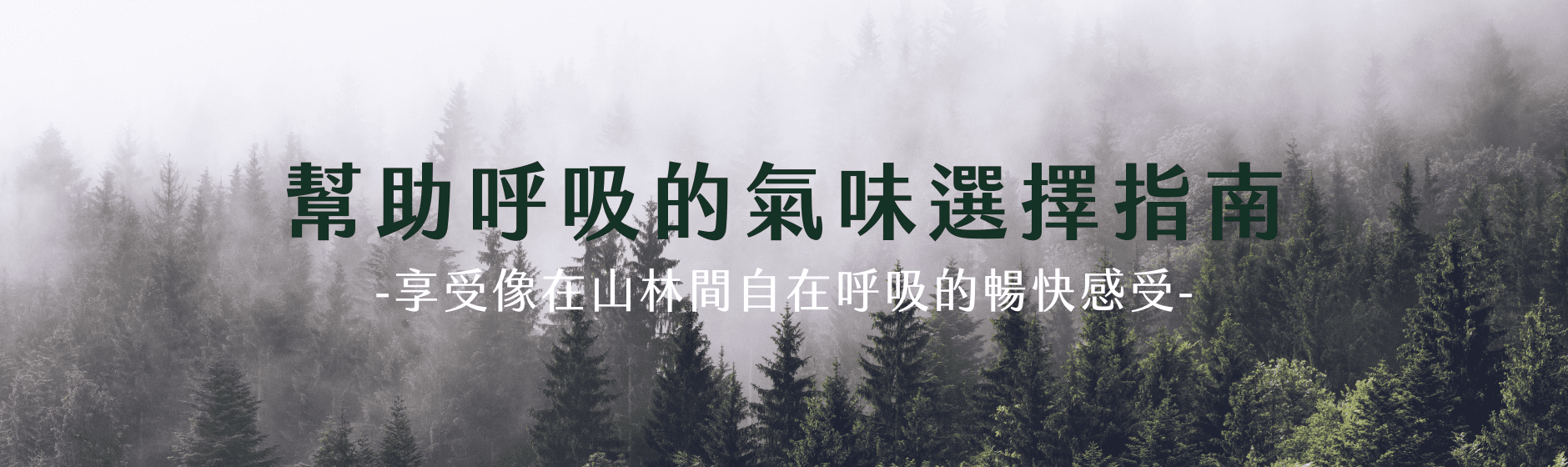 Florihana芳療家 呼吸 精油 森林 雲霧 