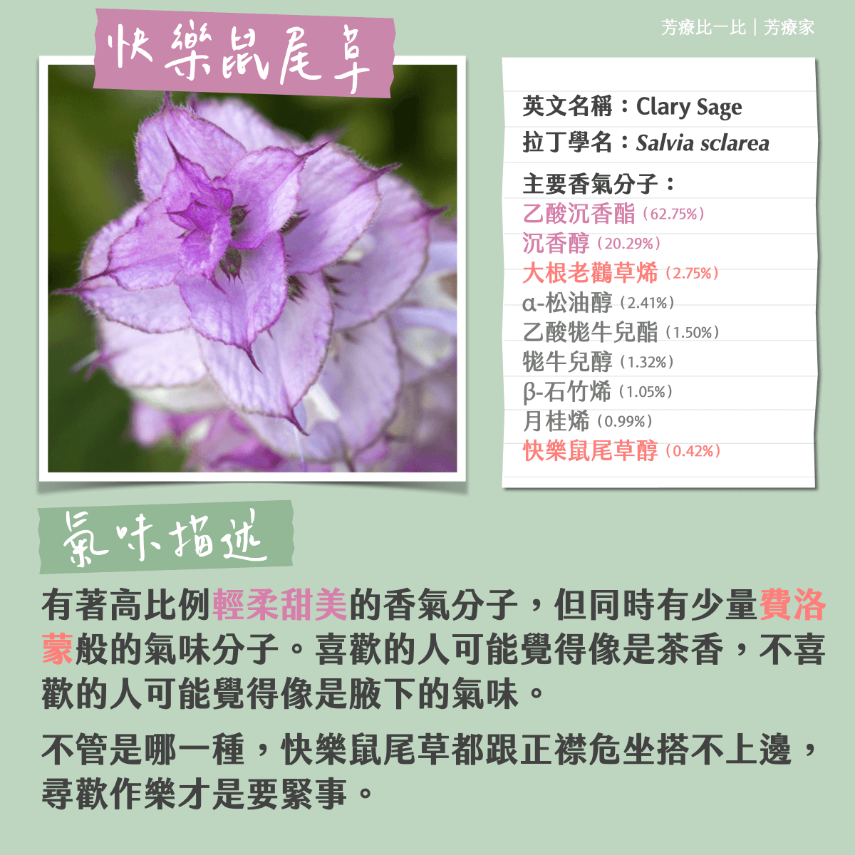 快樂鼠尾草氣味描述